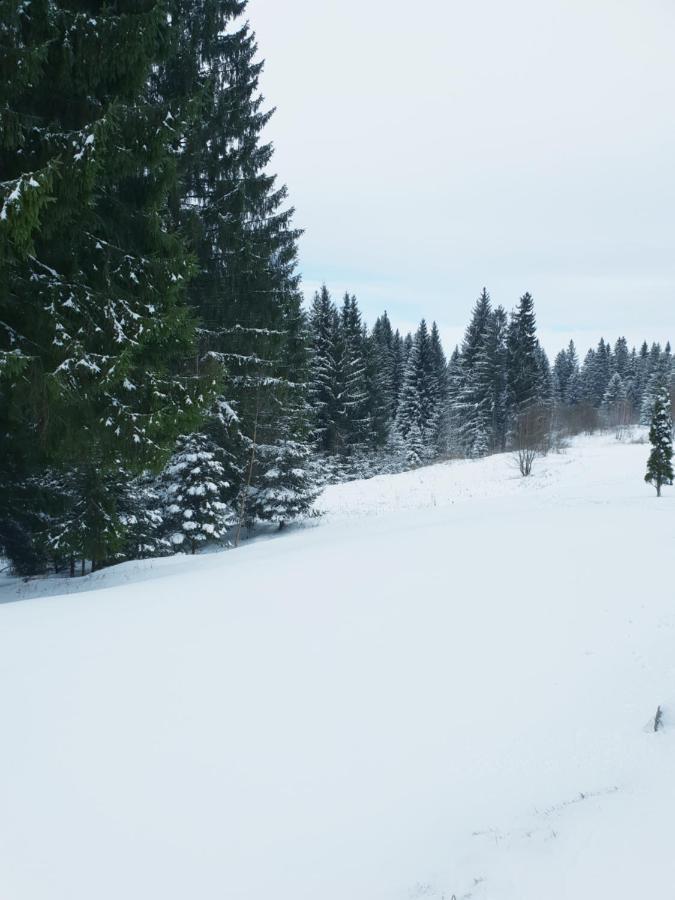 Apartment A36 Silver Mountain Пояна Брашов Екстериор снимка
