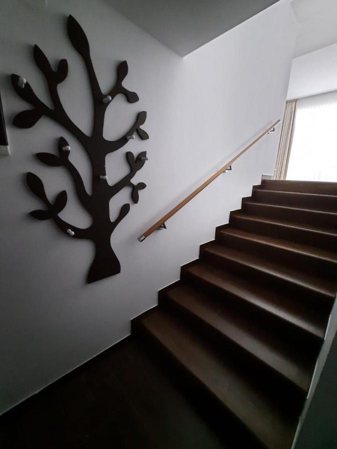 Apartment A36 Silver Mountain Пояна Брашов Екстериор снимка