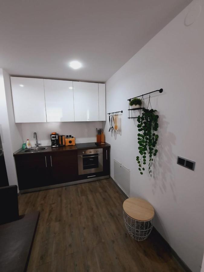 Apartment A36 Silver Mountain Пояна Брашов Екстериор снимка