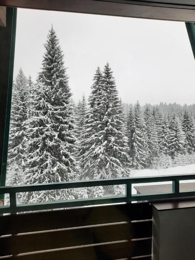 Apartment A36 Silver Mountain Пояна Брашов Екстериор снимка