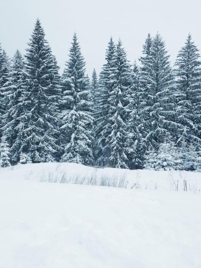Apartment A36 Silver Mountain Пояна Брашов Екстериор снимка